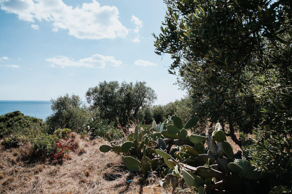 matrimonio puglia, fotografo matrimonio tenuta lucagiovanni, wedding photographer puglia lecce, reportage matrimonio puglia