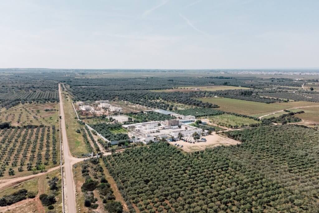 wedding masseria potenti, wedding photographer puglia, matrimonio masseria potenti, fotografo puglia, 
wedding reportage puglia, editorial wedding photographer puglia, best wedding photographer puglia, fotografo matrimonio gallipoli