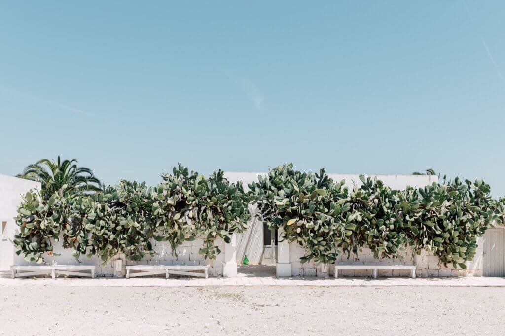 wedding masseria potenti, wedding photographer puglia, matrimonio masseria potenti, fotografo puglia, wedding reportage puglia, editorial wedding photographer puglia, best wedding photographer puglia, fotografo matrimonio gallipoli