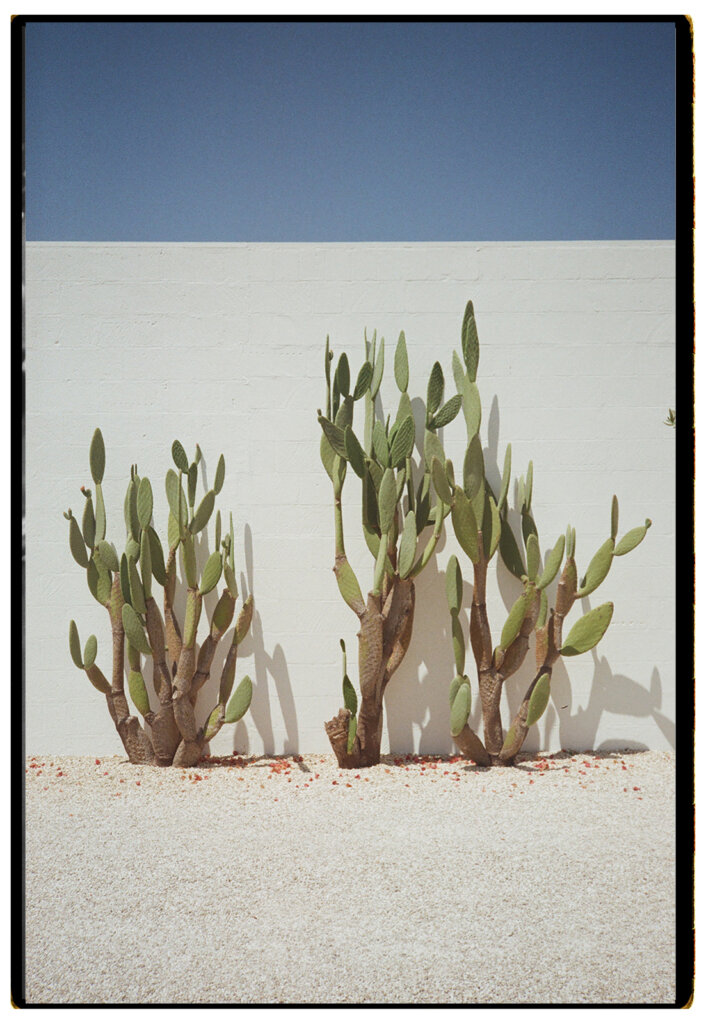 masseria moroseta film photography, film photographer puglia