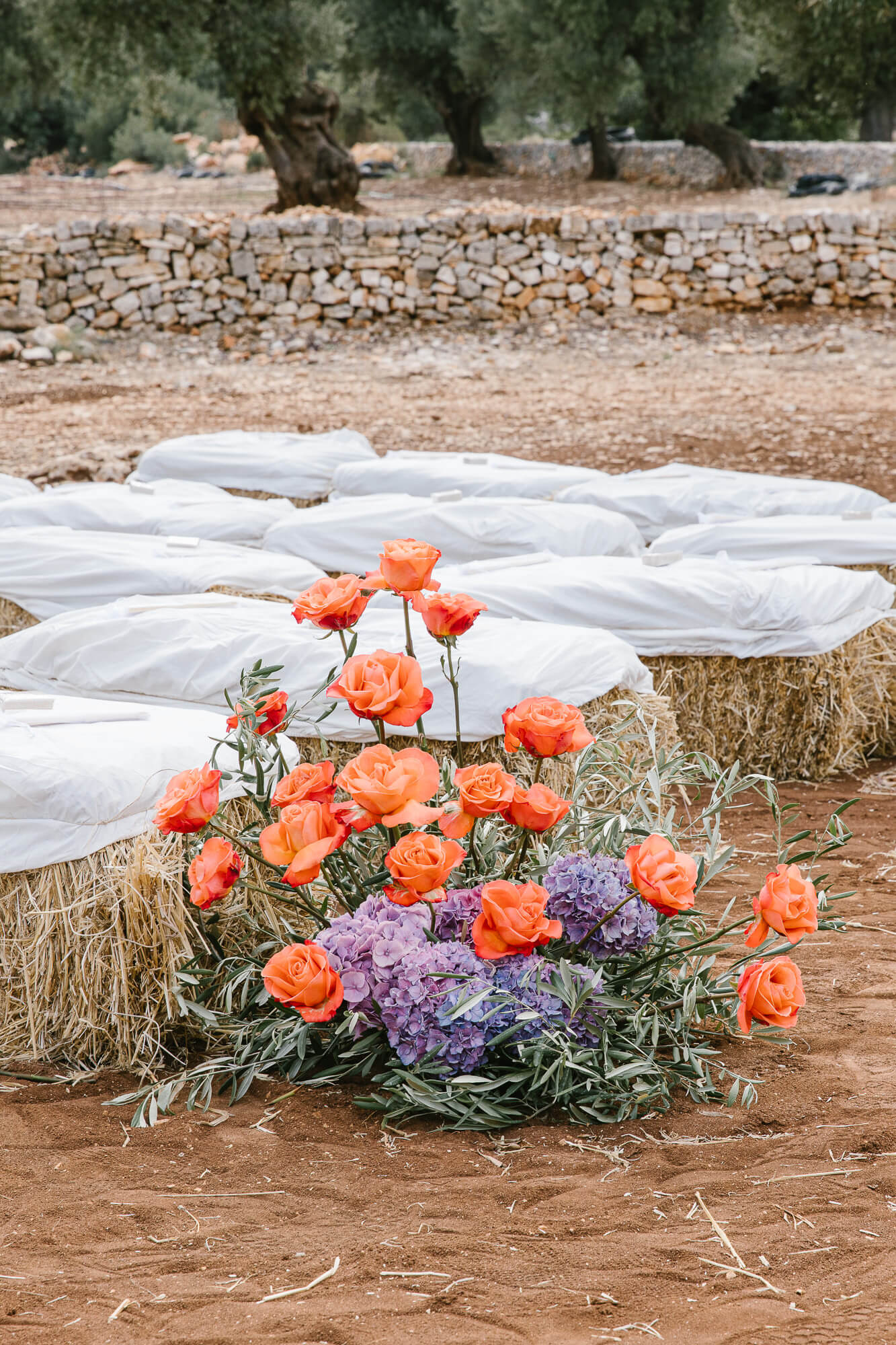 Straw bale seating with orange flowers in the olive grove