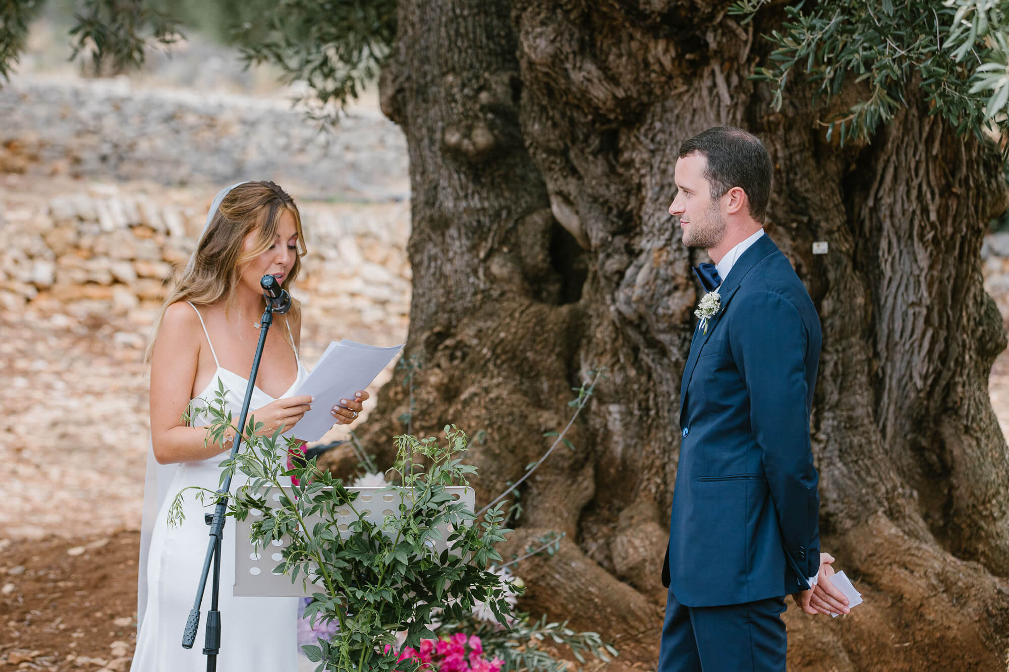 Wedding vows under an ancient olive tree at Masseria Mozzone