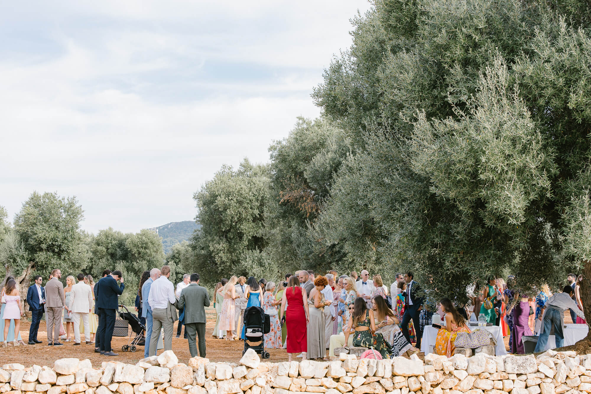 Guests gathering in the olive grove before the ceremony