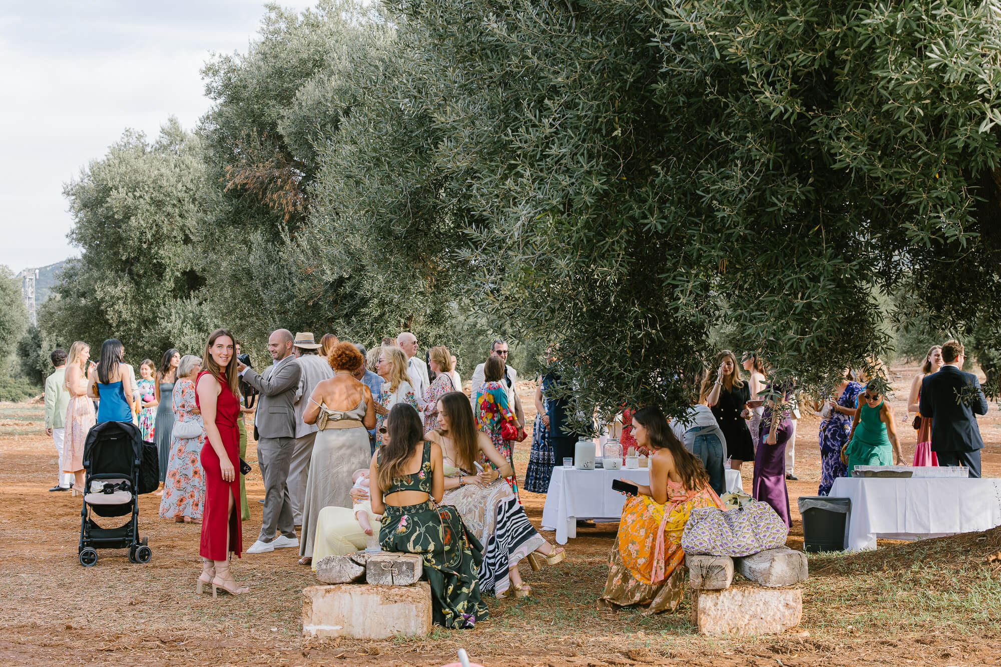 Guests mingling under the olive trees after the ceremony